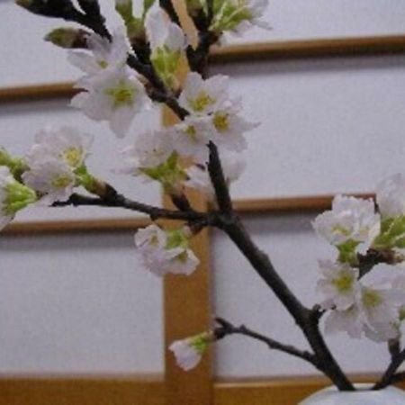 Wakaba Ryokan / Vacation Stay 29362 ساكاتا المظهر الخارجي الصورة