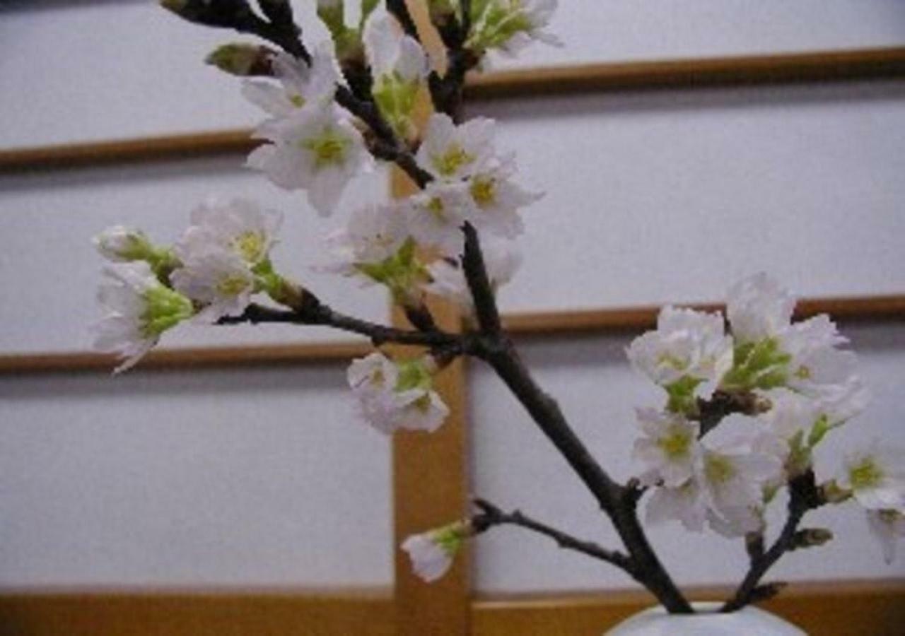 Wakaba Ryokan / Vacation Stay 29362 ساكاتا المظهر الخارجي الصورة